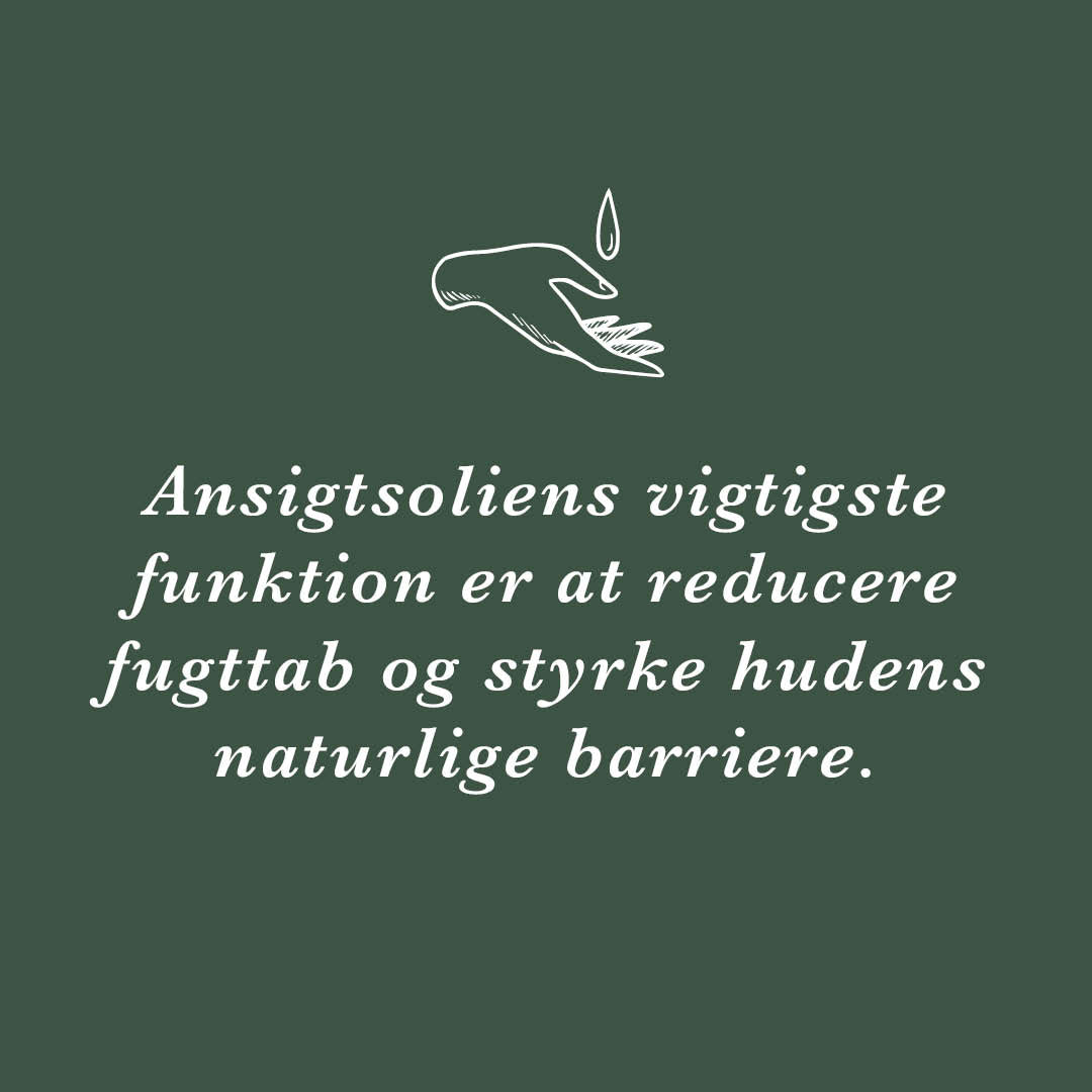 Ansigtsoliens vigtigste funktion er at reducere fugttab og styrke hudens naturlige barriere