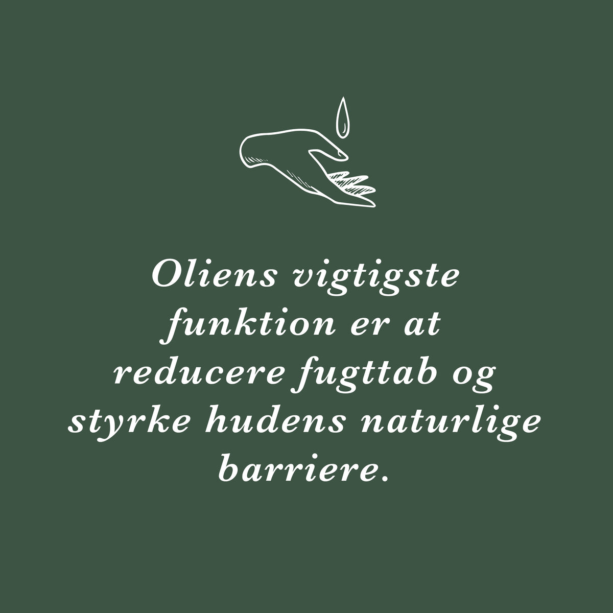 Tip: oliens vigtigste funktion er at reducere fugttab og styrke hudens naturlige barriere