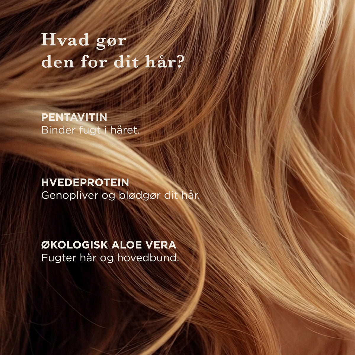 Hvad gør den for dit hår: Pentavitin binder fugt i håret, hvedeprotein genopliver og blødgør håret, økologisk aloe vera fugter hår og hovedbund