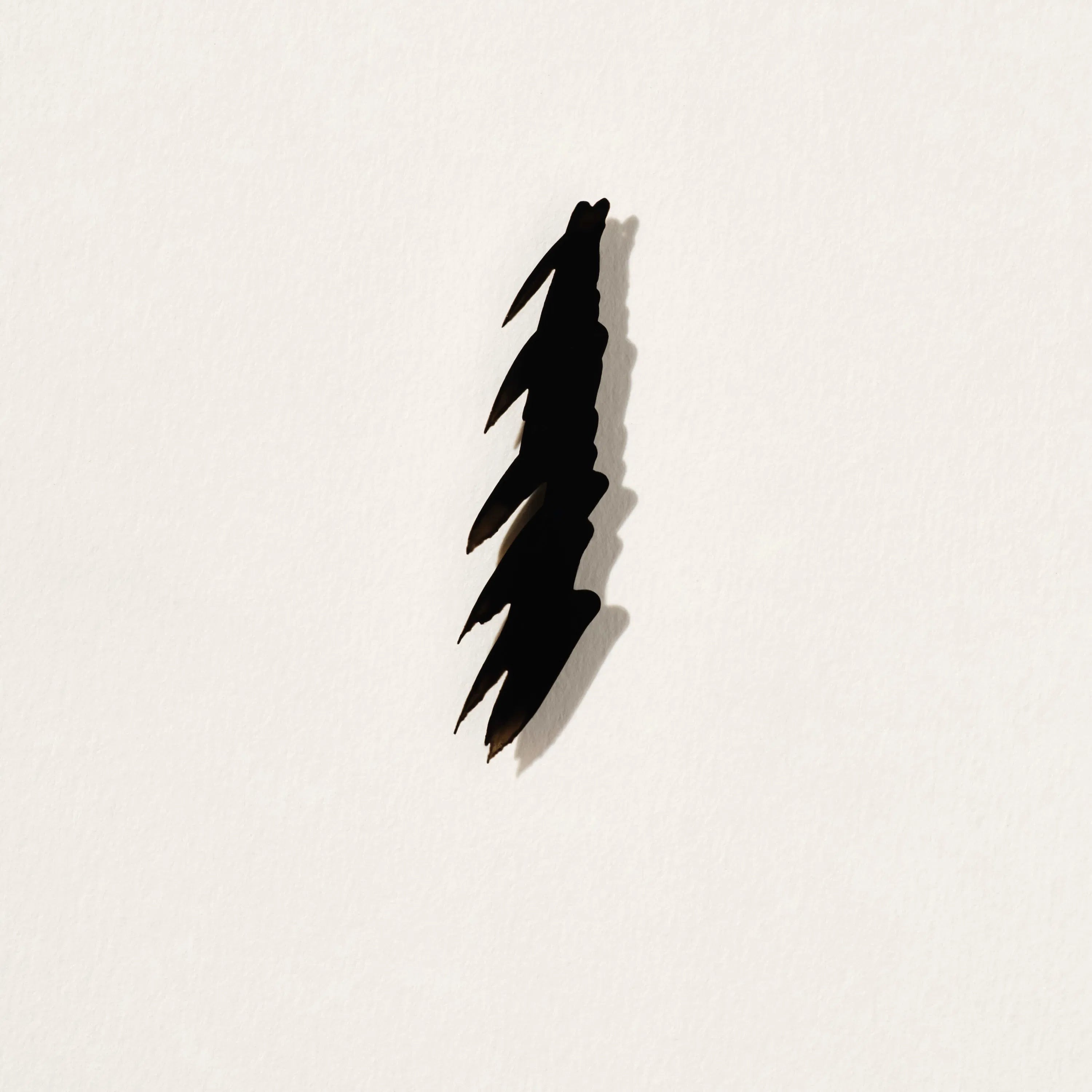 Liquid Eyeliner